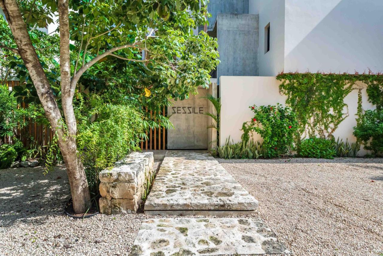 Luxury Apartament With Private Plunge Pool - Ground Floor Tulum Kültér fotó